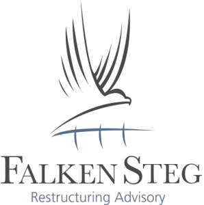 Falken Steg Logo